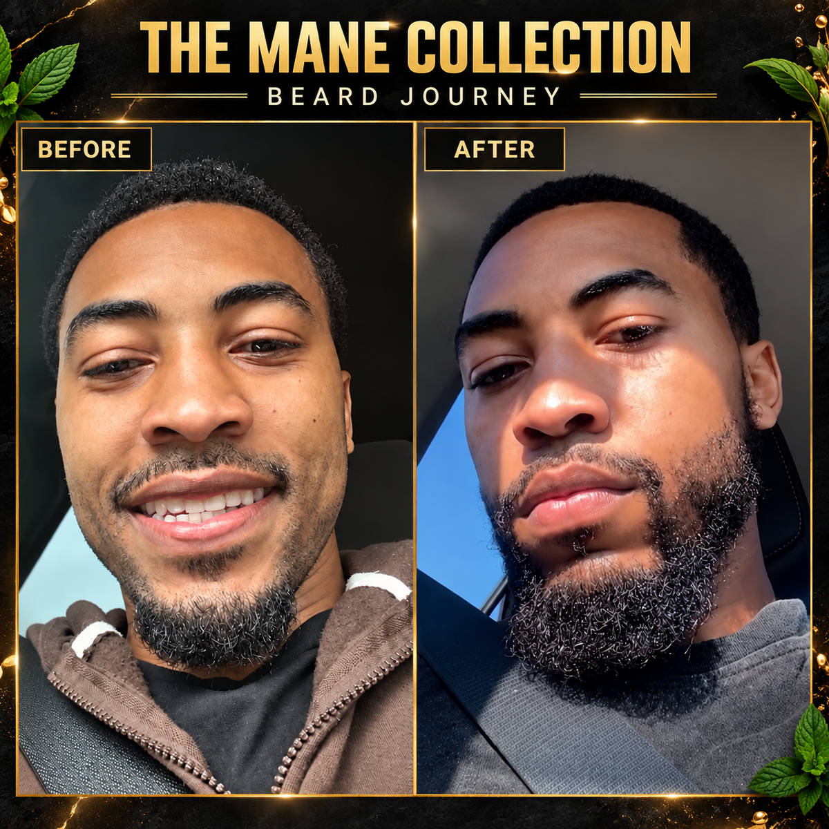 THE MANE 4-piece herbal beard kit
