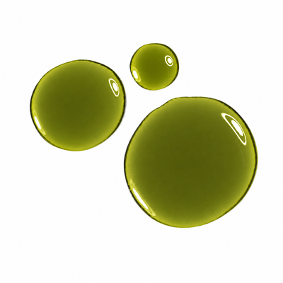 Tamanu Oil