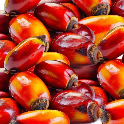 Batana Oil