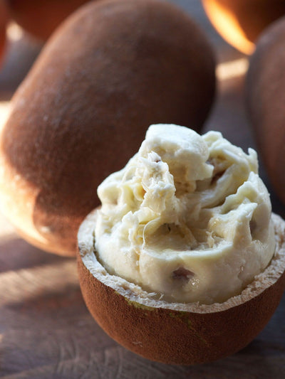 Cupuacu Butter