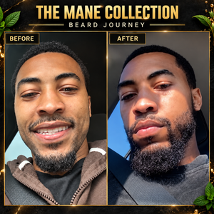 THE MANE 4-piece herbal beard kit