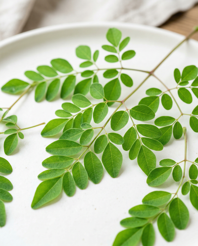 Moringa