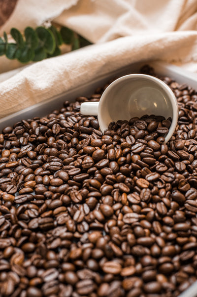 Ethiopian Coffee Beans